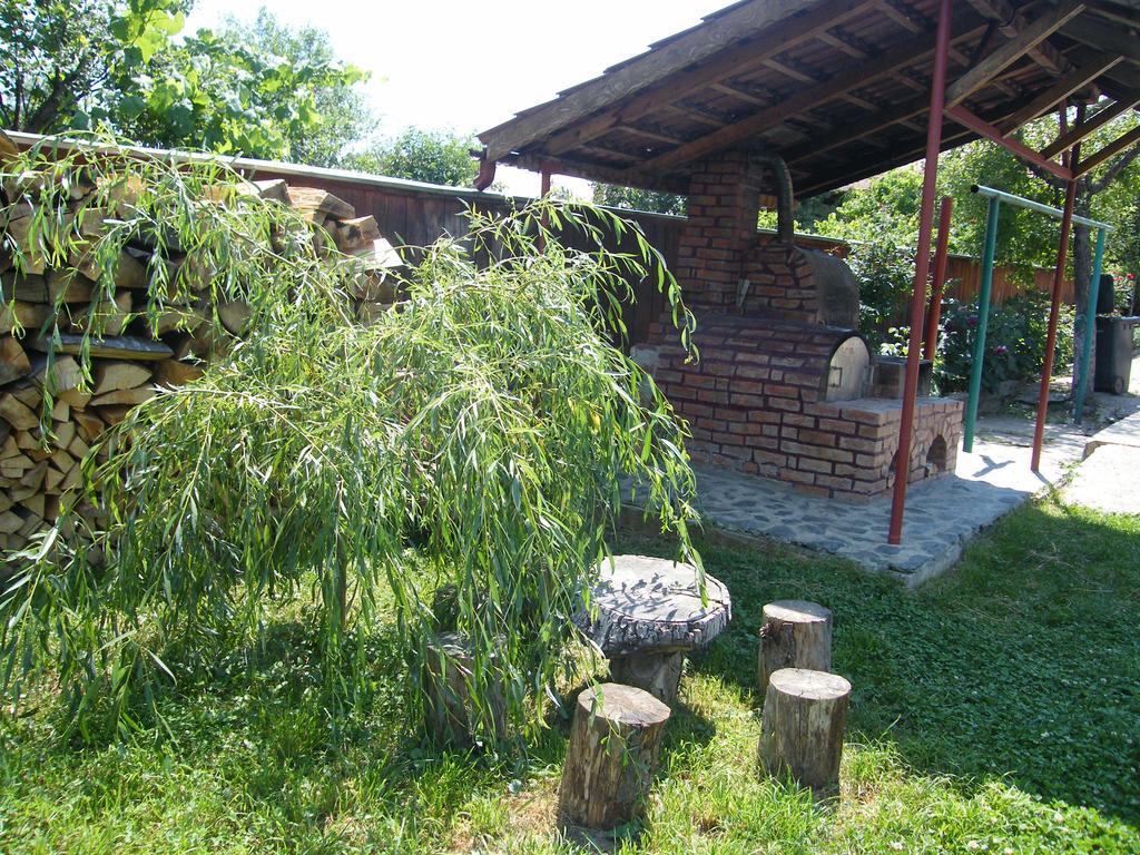 Pensiunea Casa Filoxenia Horezu Exterior foto
