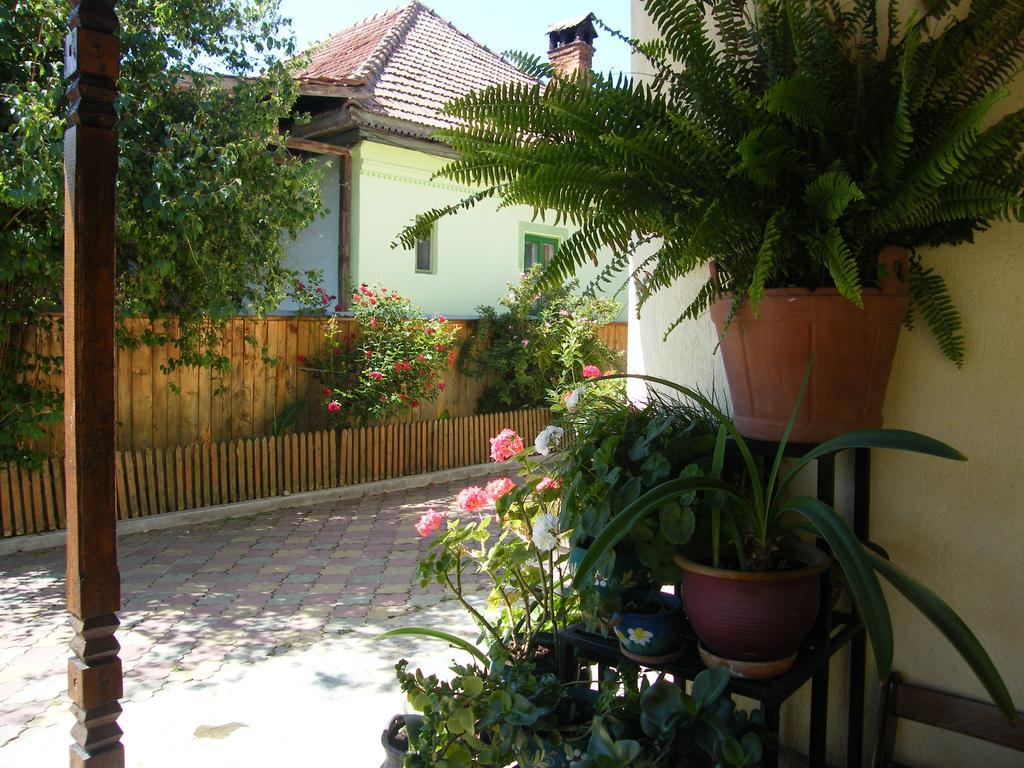 Pensiunea Casa Filoxenia Horezu Exterior foto