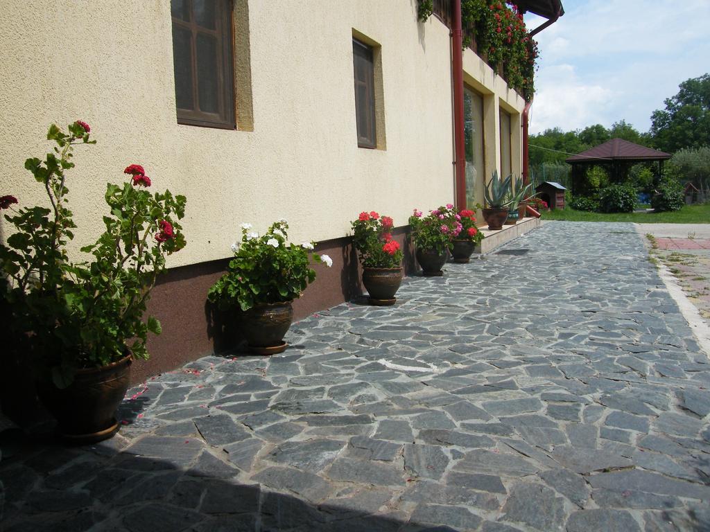 Pensiunea Casa Filoxenia Horezu Exterior foto