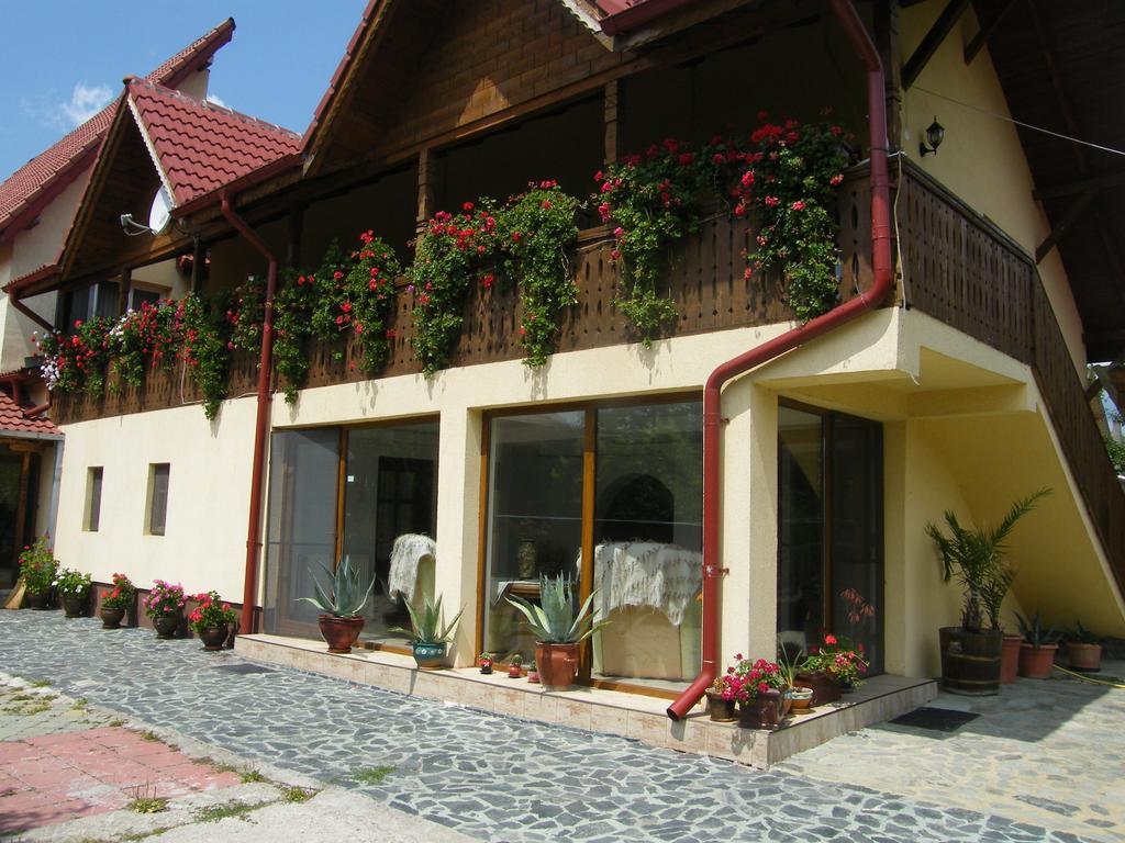 Pensiunea Casa Filoxenia Horezu Exterior foto