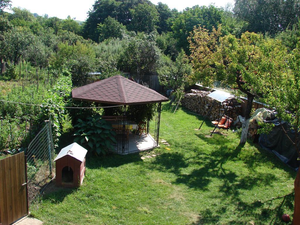 Pensiunea Casa Filoxenia Horezu Exterior foto