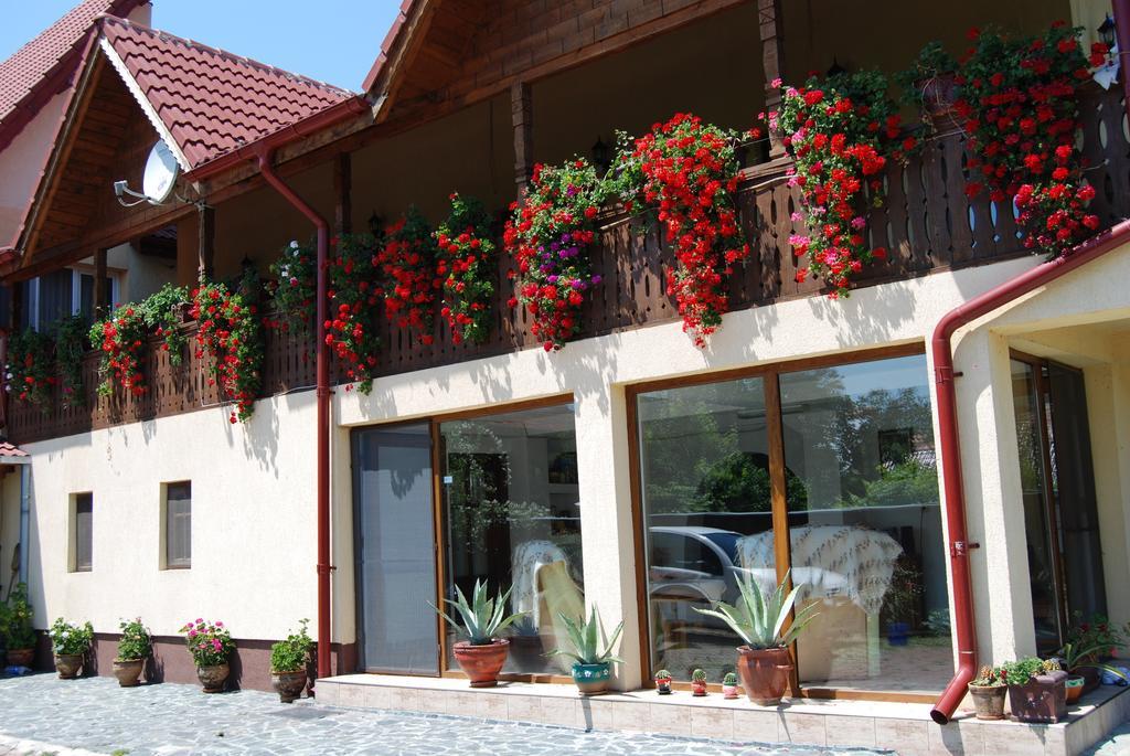Pensiunea Casa Filoxenia Horezu Exterior foto